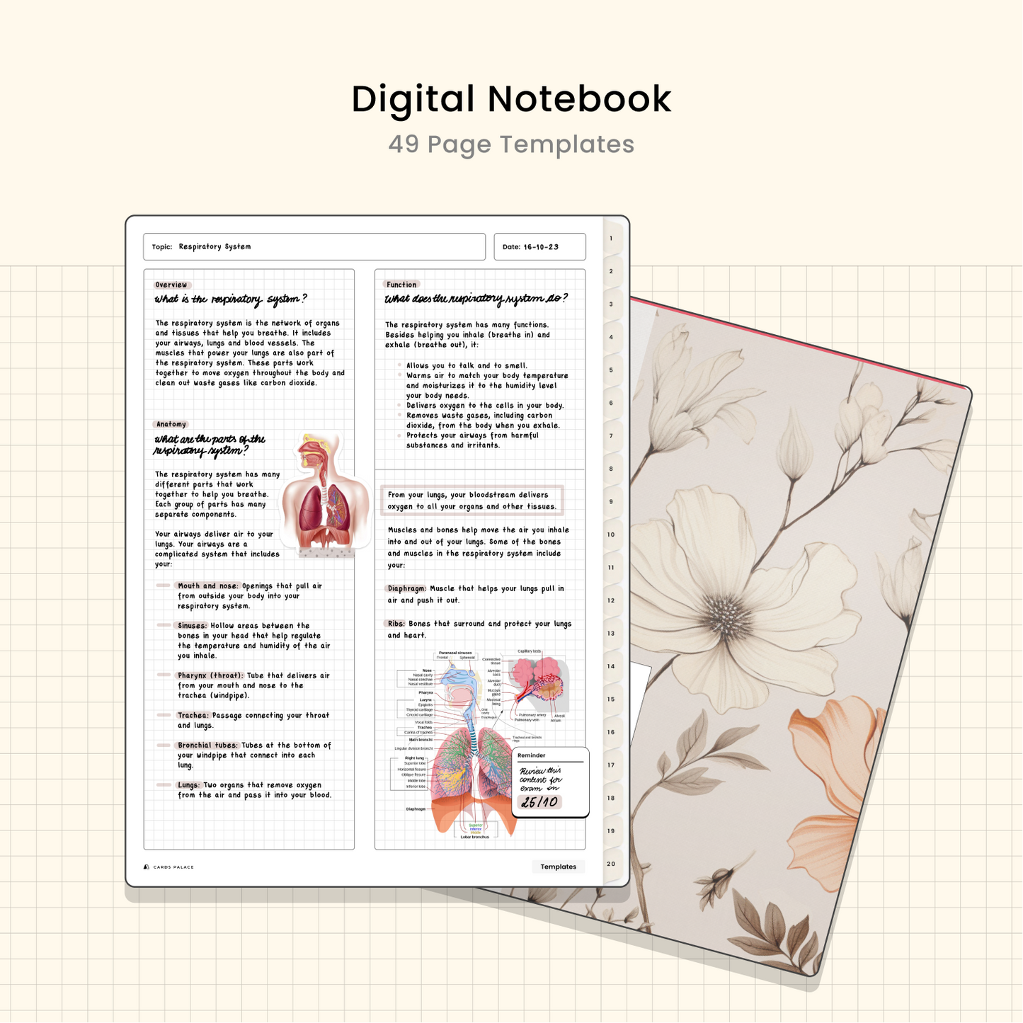 Digital Goodnotes Notebooks - 6 Colors and Dark Mode - Cards Palace